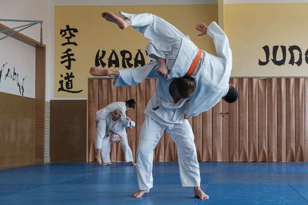 Výuka judo